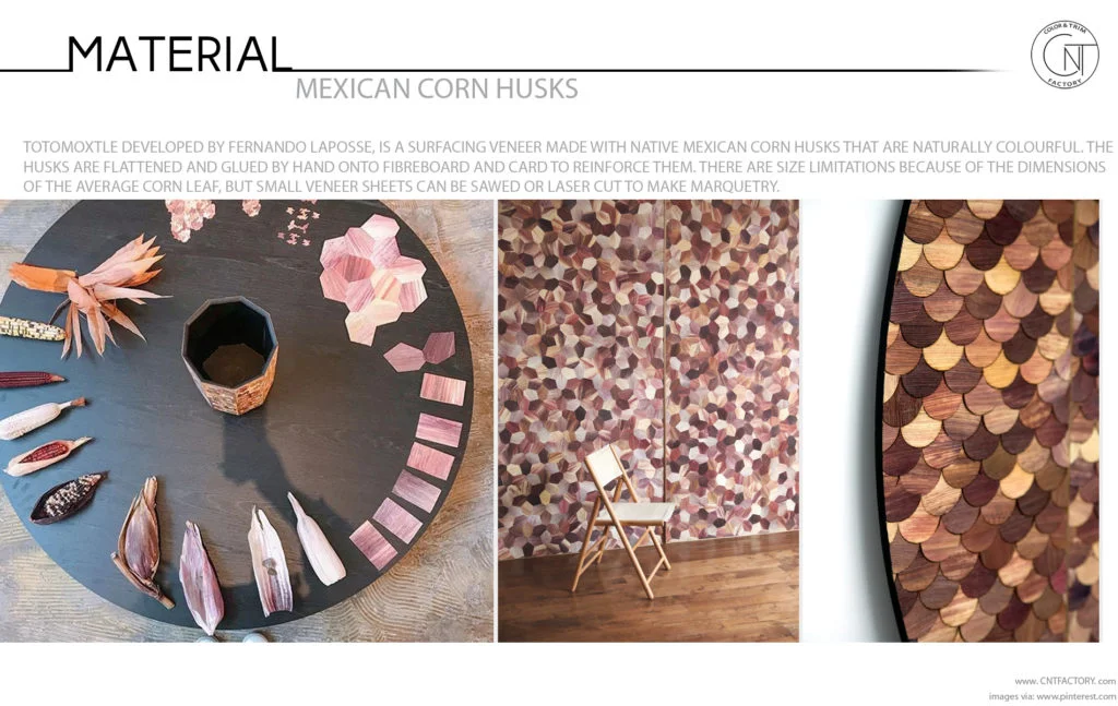 Mexican Corn Husk Fernando Laposse