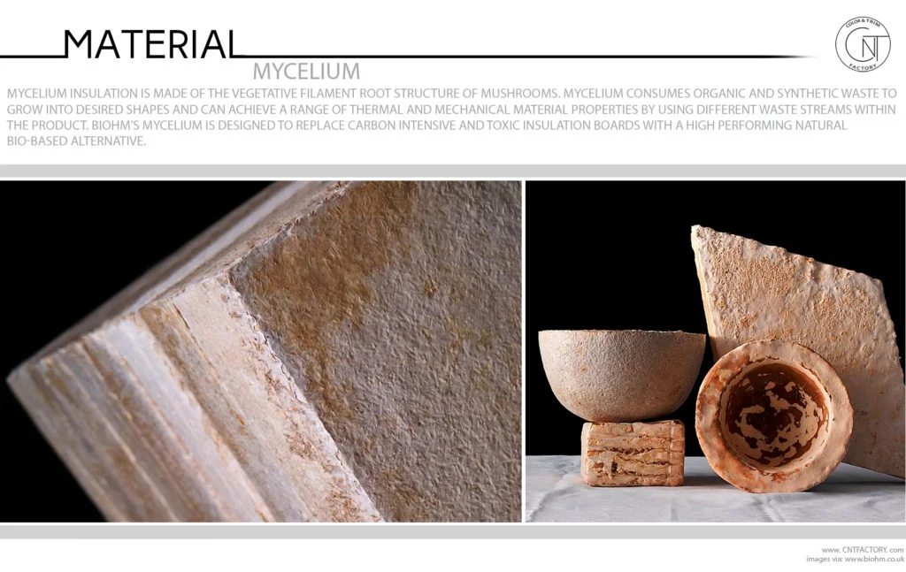 Mycelium Mushrooms Root Structure Consumes Organic Synthetic Waste