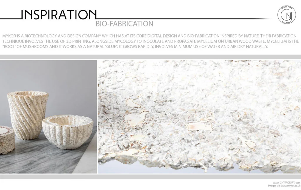 Bio-Fabrication Mykor 