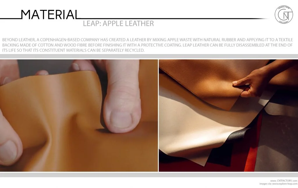 Leap Apple Leather