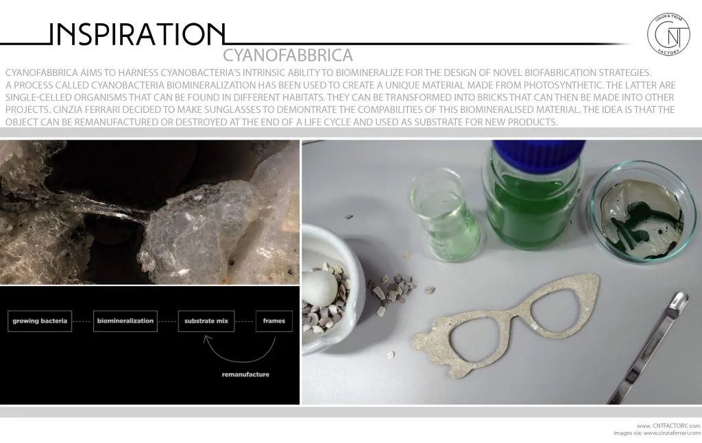 Cyanobacteria Biomineralization