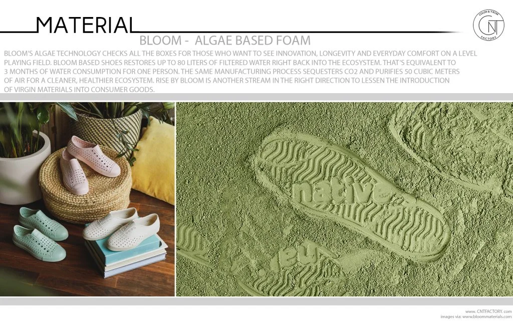 BLOOM Algae Based Foam