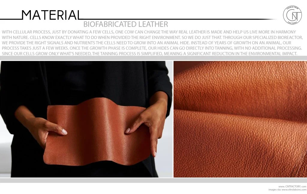 Biofabricated Leather