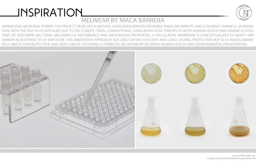 Melwear Maca Barrera