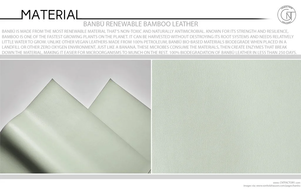 Banbū Renewable Bamboo Leather