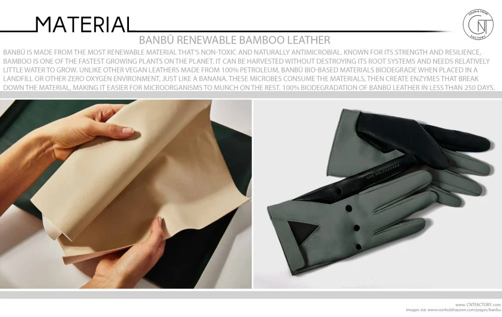 Banbū Renewable Bamboo Leather