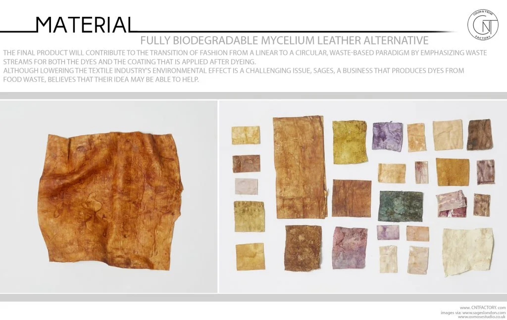 Fully Biodegradable Mycelium Leather Alternative