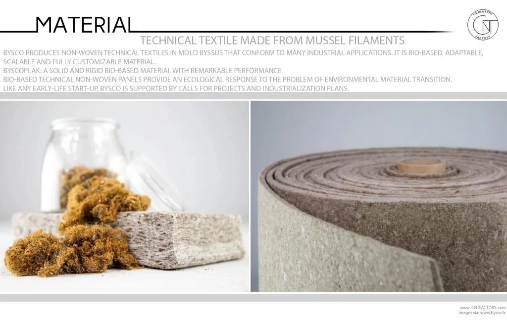 Non Woven Technical Textile Made From Mussel Filaments