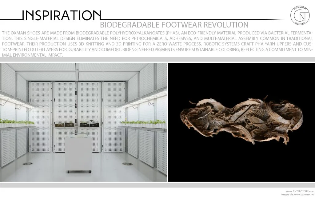 Biodegradable Footwear Revolution