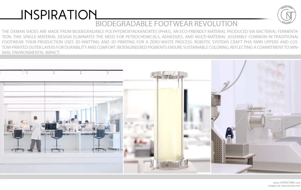 Biodegradable Footwear Revolution