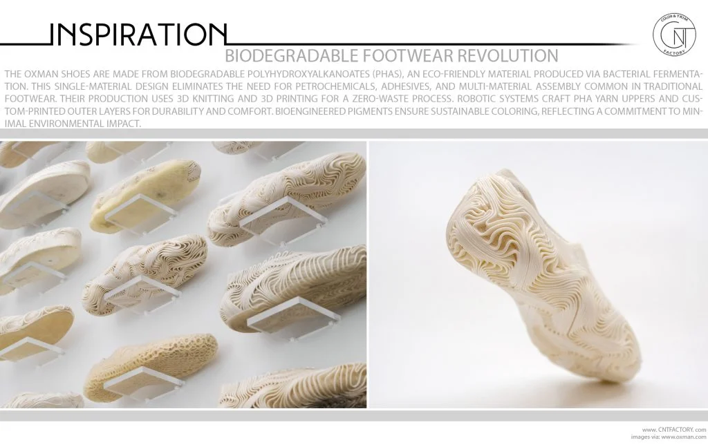 Biodegradable Footwear Revolution