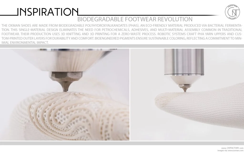 Biodegradable Footwear Revolution