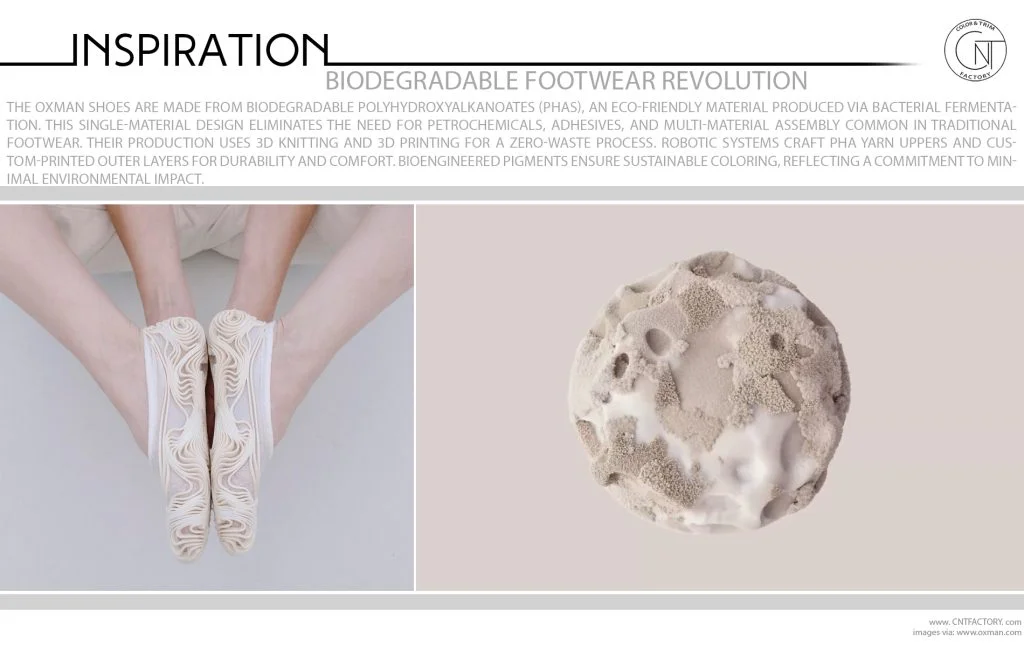 Biodegradable Footwear Revolution