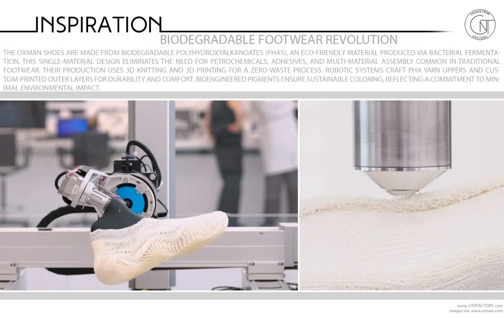 Biodegradable Footwear Revolution
