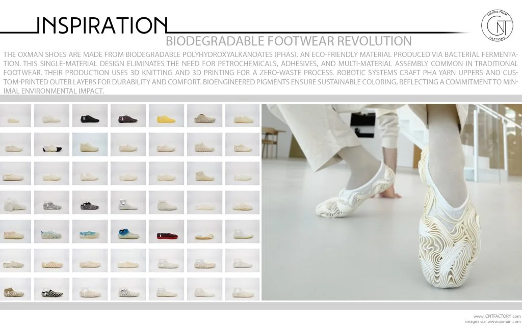 Biodegradable Footwear Revolution