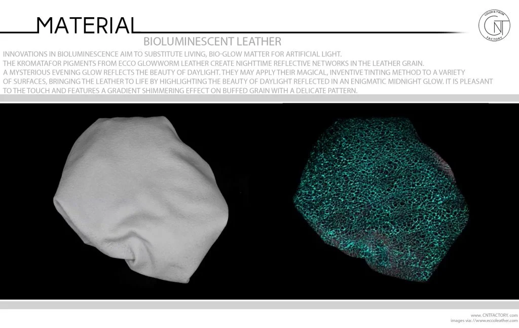 Bioluminescent Leather