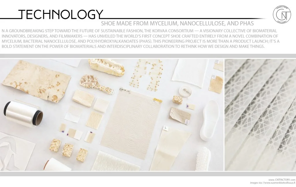 Shoe Made from Mycelium Nanocellulose PHAs