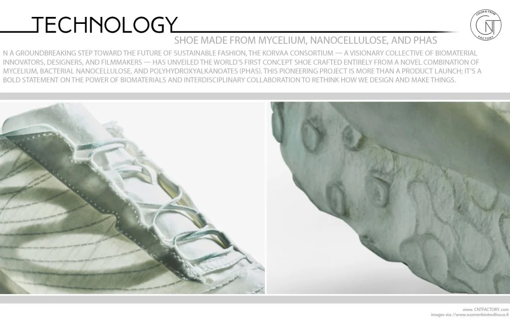 Shoe Made from Mycelium Nanocellulose PHAs