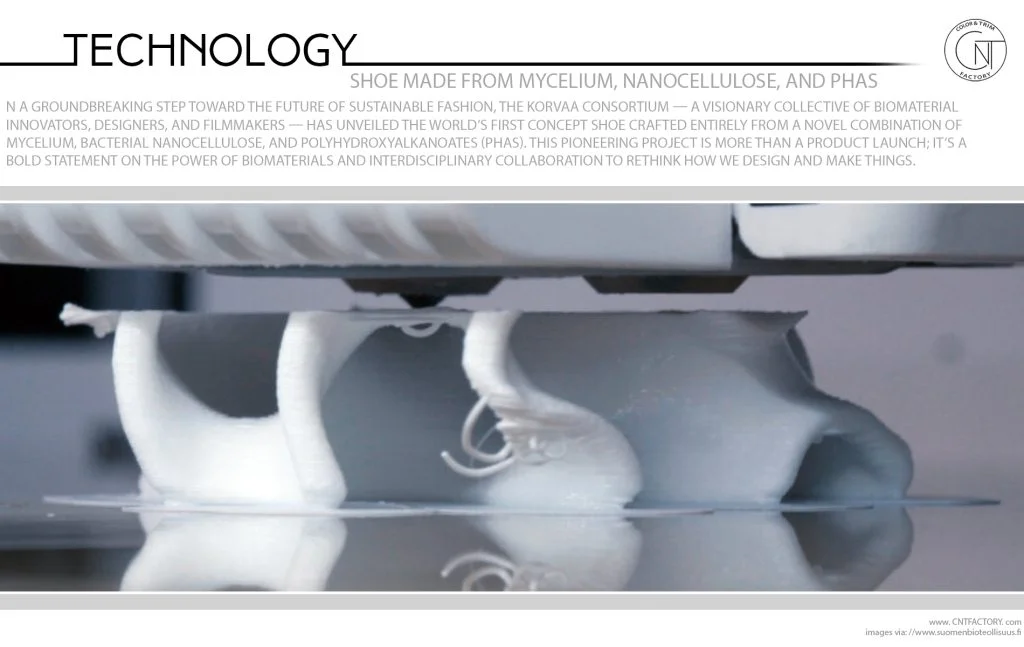 Shoe Made from Mycelium Nanocellulose PHAs