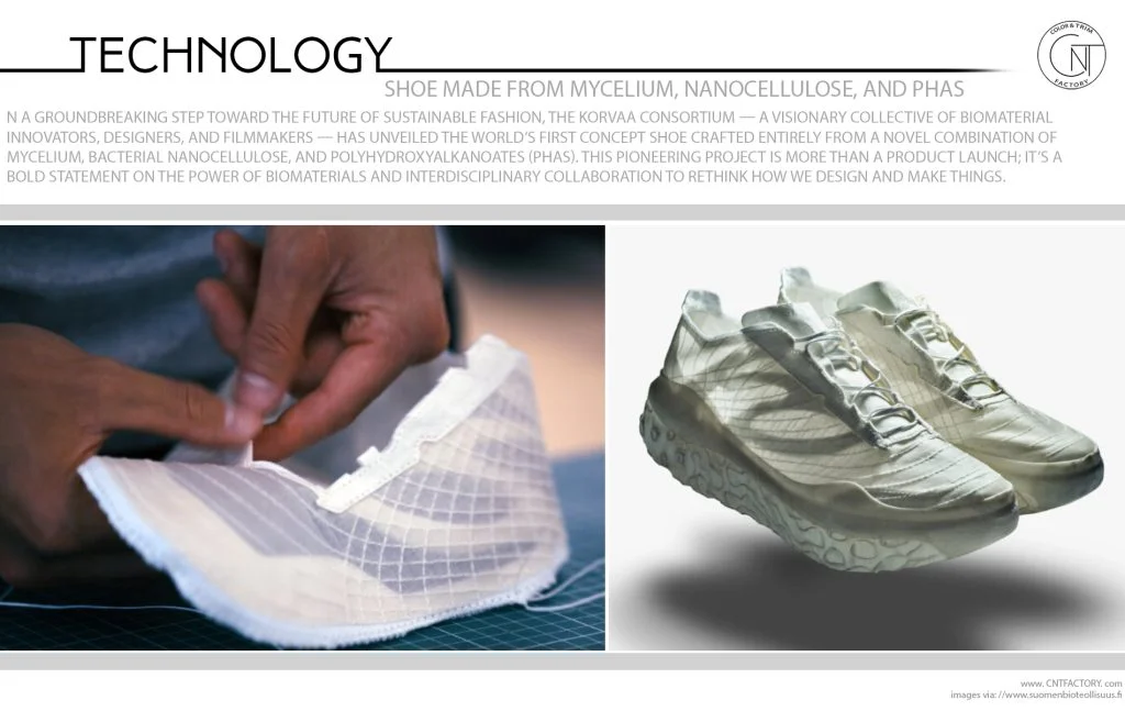 Shoe Made from Mycelium Nanocellulose PHAs