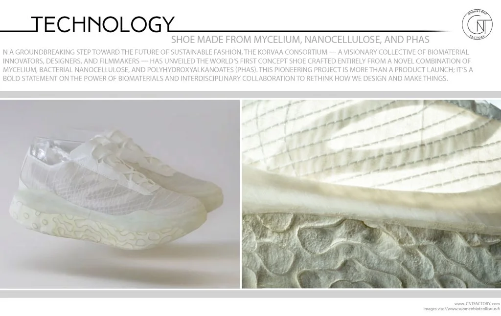 Shoe Made from Mycelium Nanocellulose PHAs