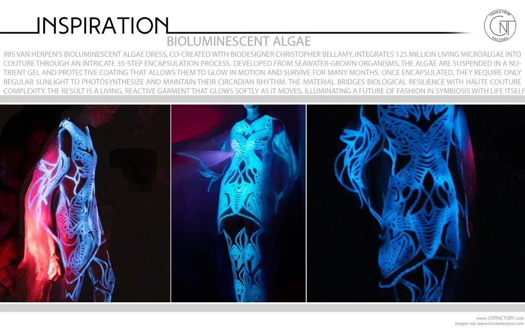 Bioluminescent Algae