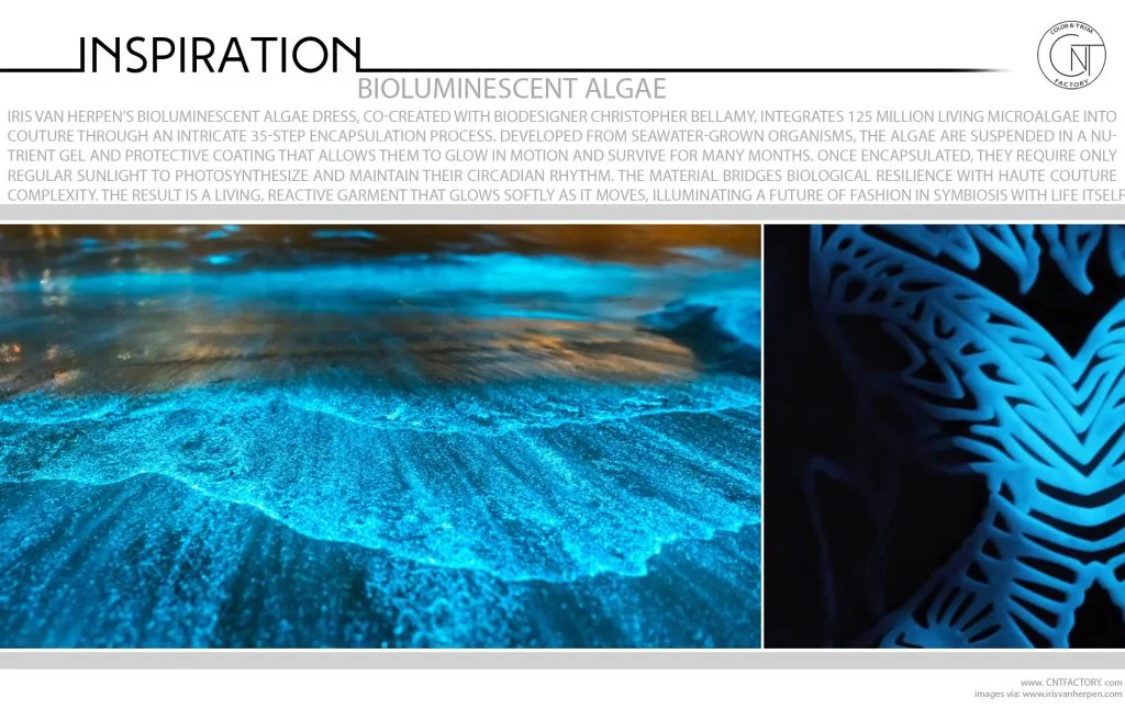 Bioluminescent Algae