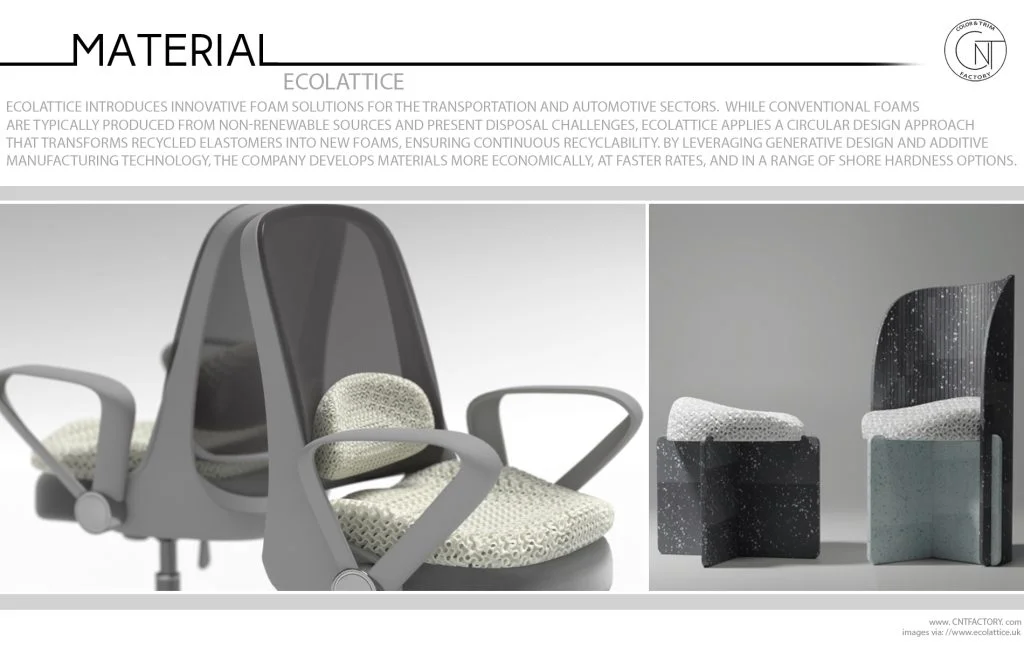 EcoLattice Innovation for a Sustainable Future