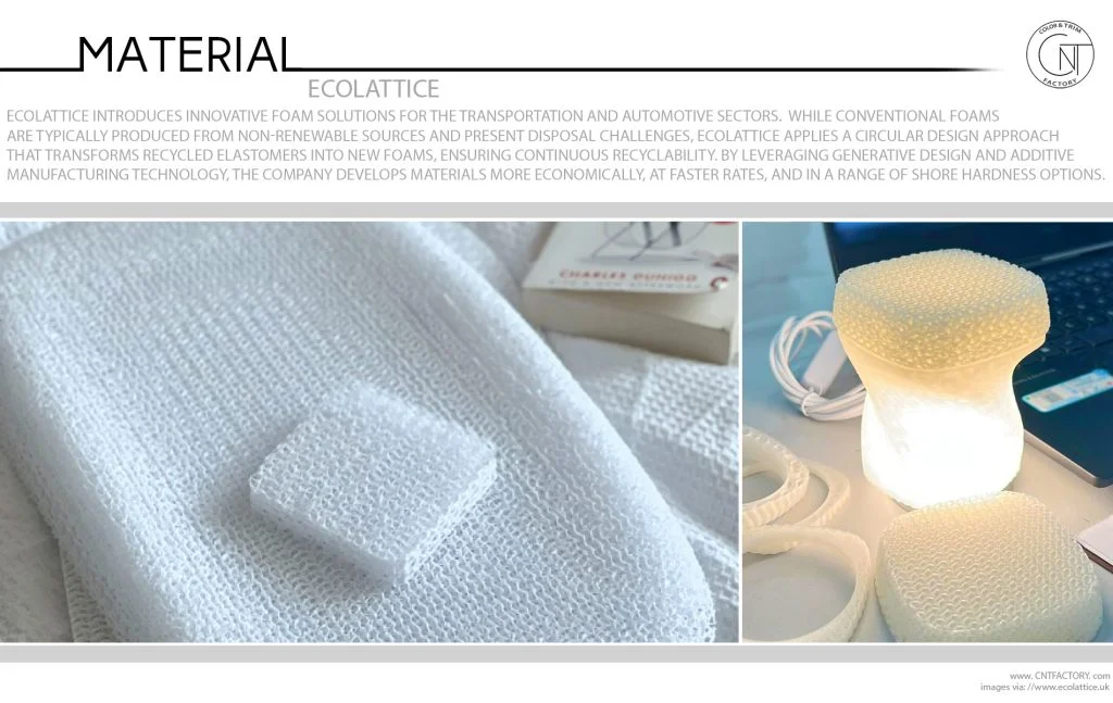 EcoLattice Innovation for a Sustainable Future