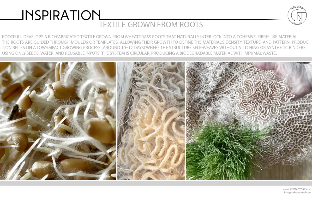 Textile Grown From Roots