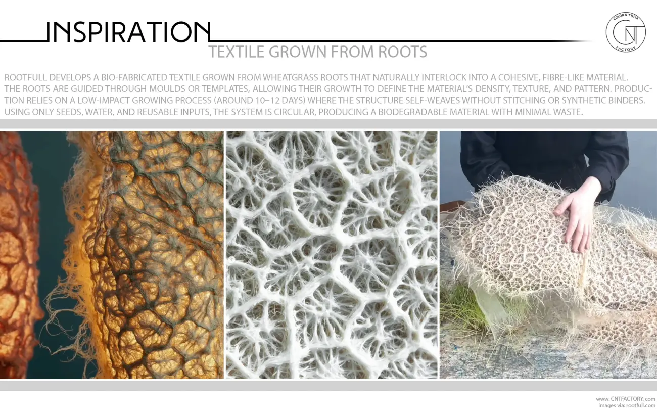 Textile Grown From Roots