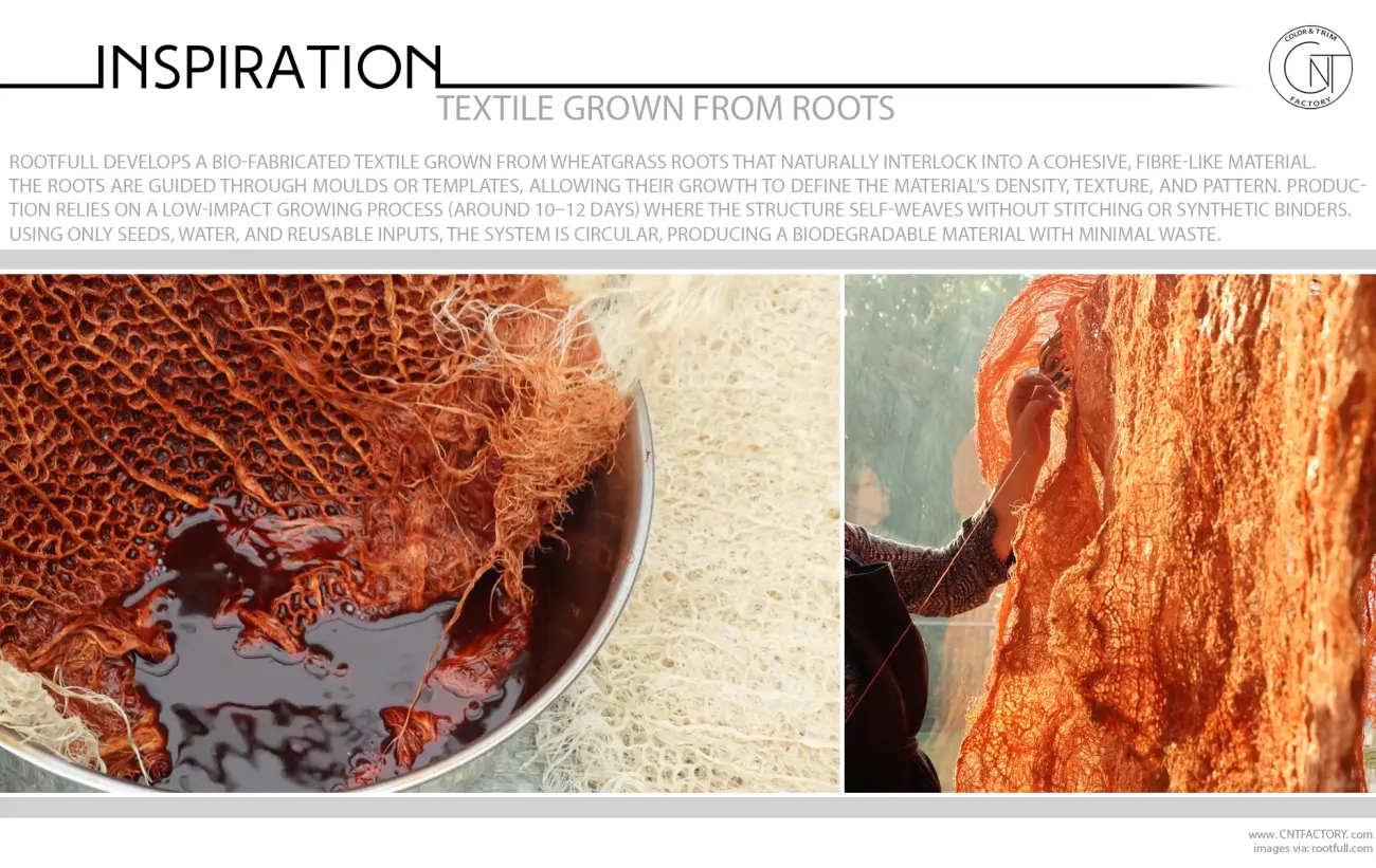 Textile Grown From Roots