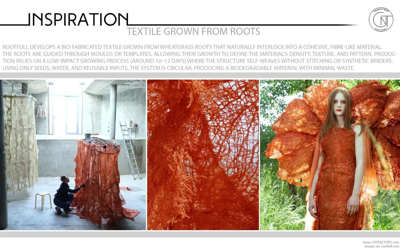 Textile Grown From Roots