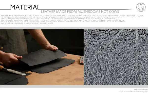 Mylo™ Leather Made From Mushrooms Not Cows