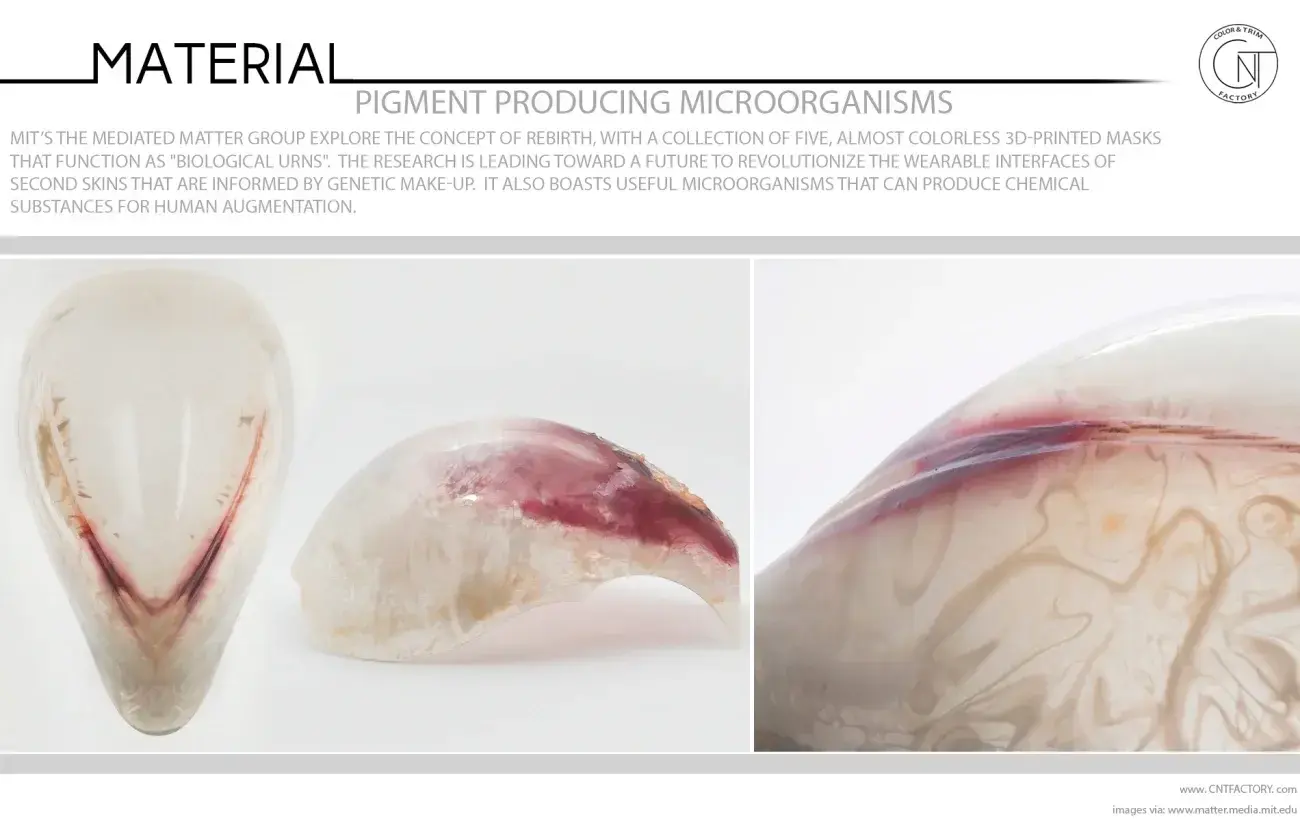 Pigment Producing Microorganisms
