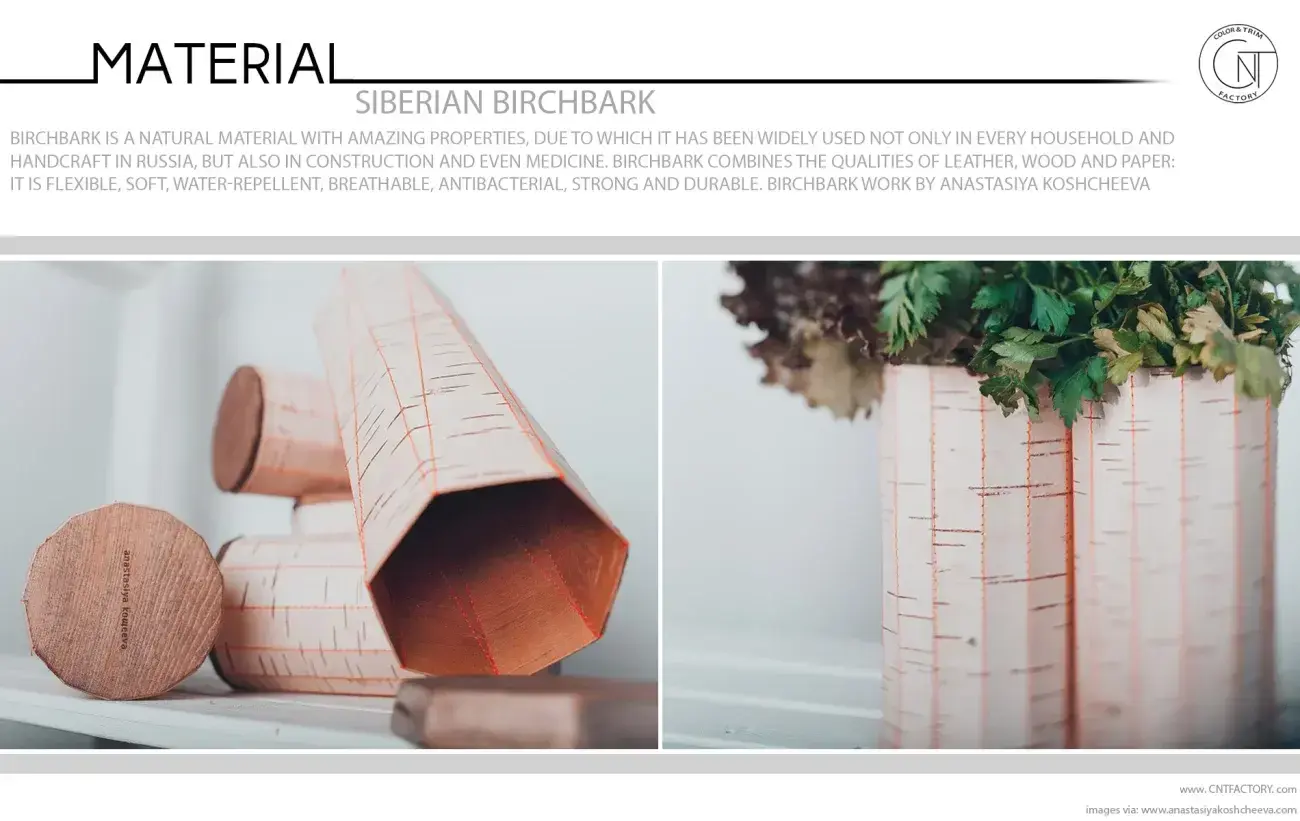 Siberian Birchbark Trim