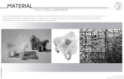 Structural Ornament