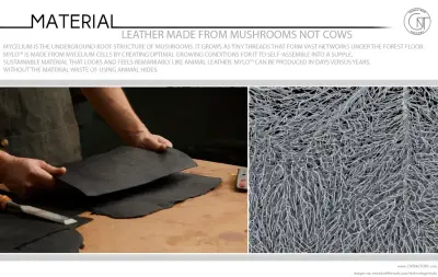 Mylo™ Leather Made From Mushrooms Not Cows