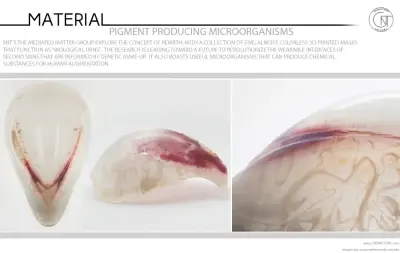 Pigment Producing Microorganisms
