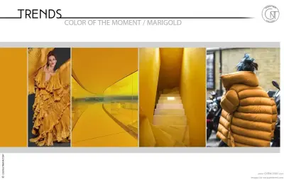 Trends - Color of the Moment / MARIGOLD