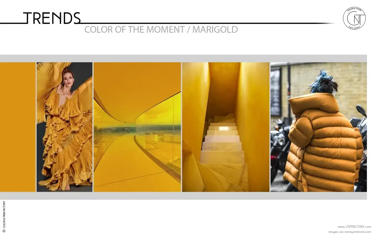 Trends - Color of the Moment / MARIGOLD