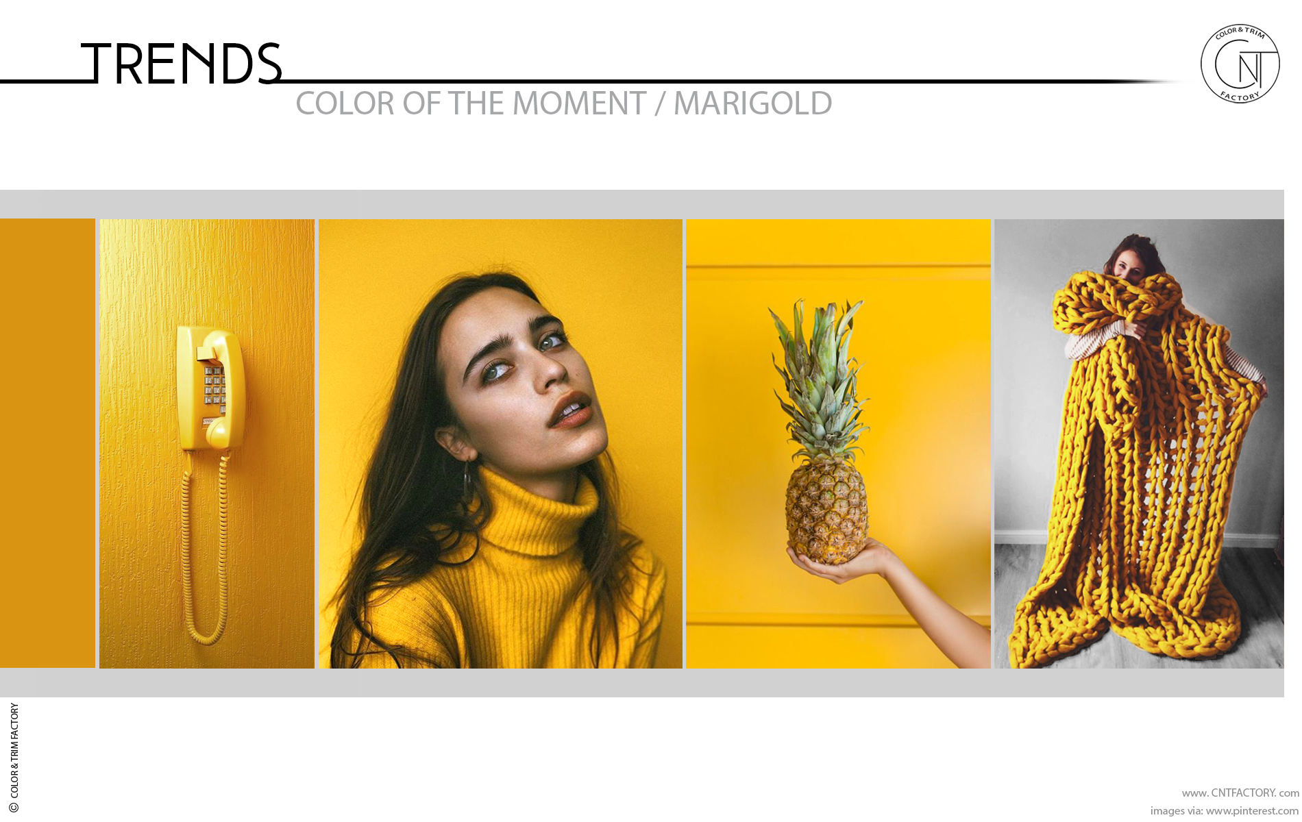 Trends Color Moment Marigold color trim design