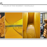 Trends - Color of the Moment / MARIGOLD