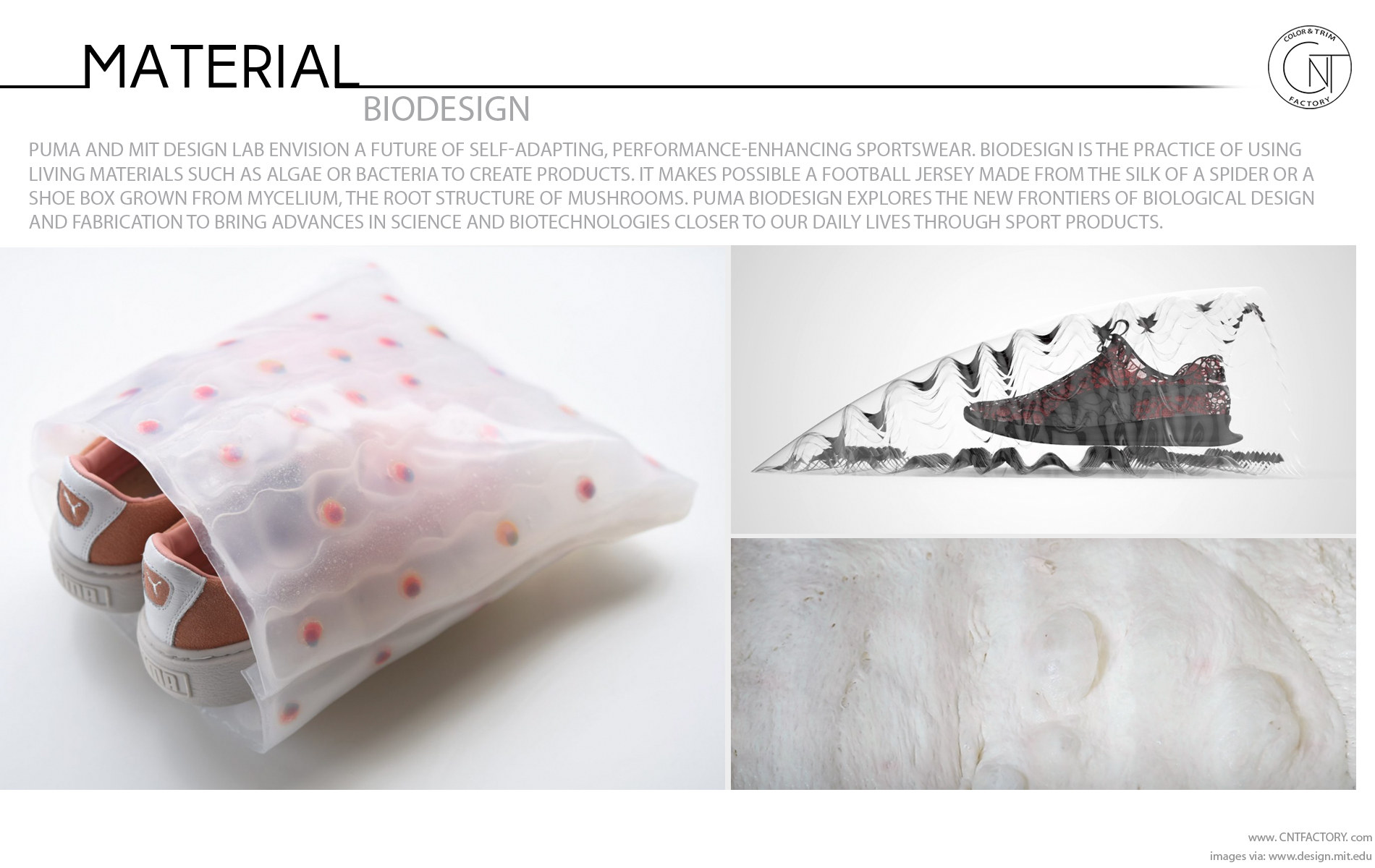 Puma mit design clearance lab