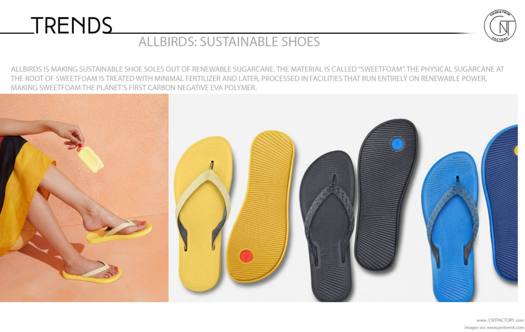 Allbirds Sustainable Shoes