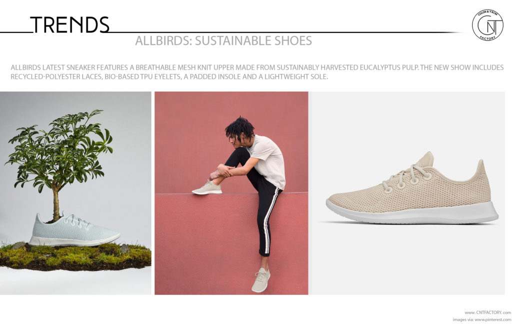 Allbirds Sustainable Shoes