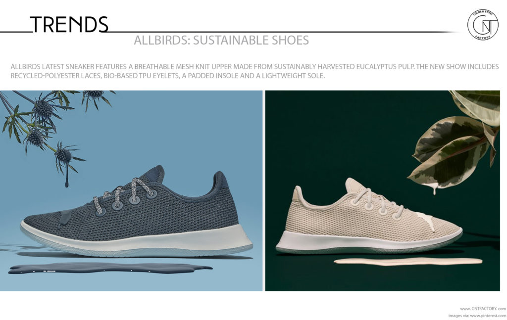 Allbirds Sustainable Shoes