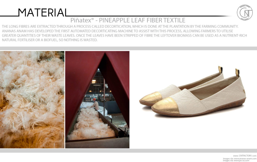 Piñatex Innovative Natural Textile Pineapple Leaf Fibre