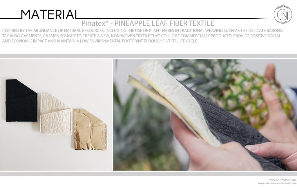 Piñatex Innovative Natural Textile Pineapple Leaf Fibre