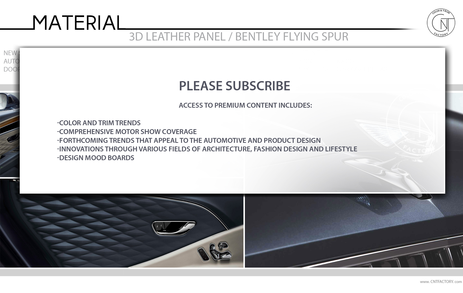 3D Leather Panel Bentley Flying Spur